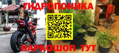 амф Краснодар