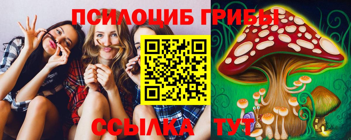 Псилоцибиновые грибы MAGIC MUSHROOMS Камышлов
