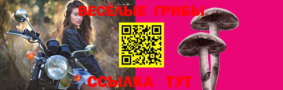 Псилоцибиновые грибы мухоморы  Псилоцибиновые грибы Psilocybe  Вход с VPN  Камышлов 